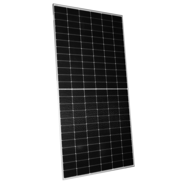 Raia 375 – Image 2